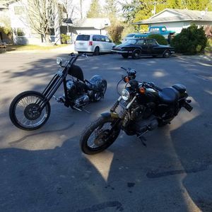 Meet your Posher, Harold